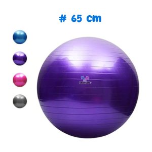 Pelota terapia – 65 cm.