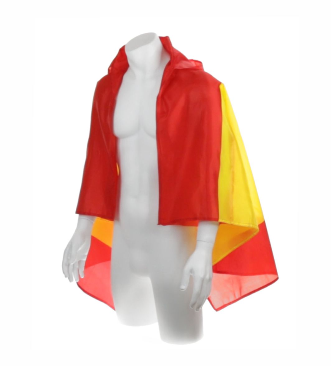 Bandera Corporal España - Imagen 3