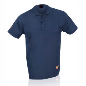 Polo Técnico España