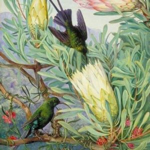 Pájaros en una rama florida