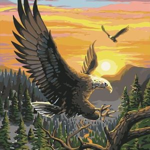 Águila En La Salida De Sol