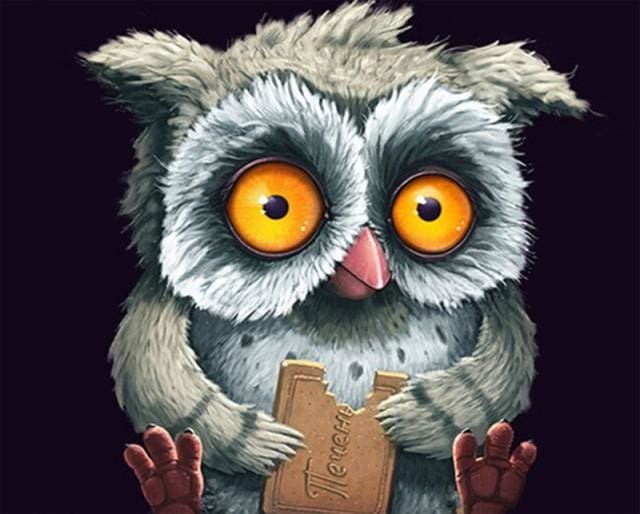 Búho Con Una Galleta - Imagen 2